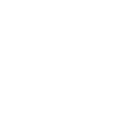 Ícono de Seguridad